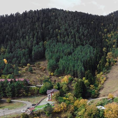 Holiday Borjomi Qvibisi Buitenkant foto