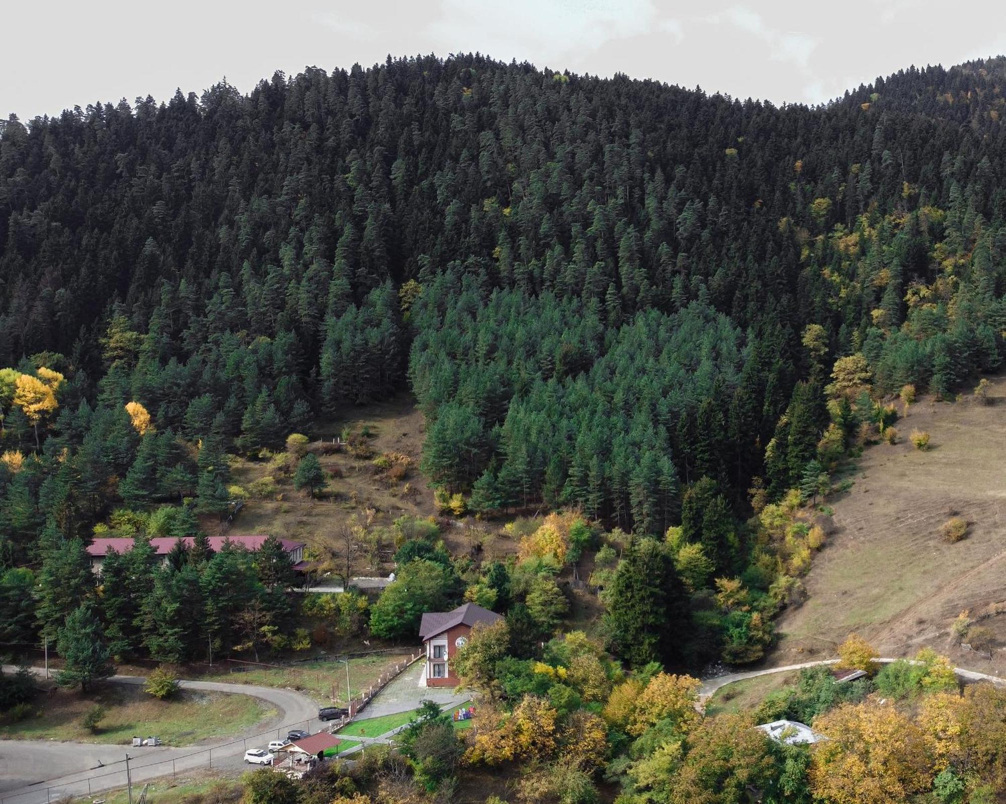 Holiday Borjomi Qvibisi Buitenkant foto
