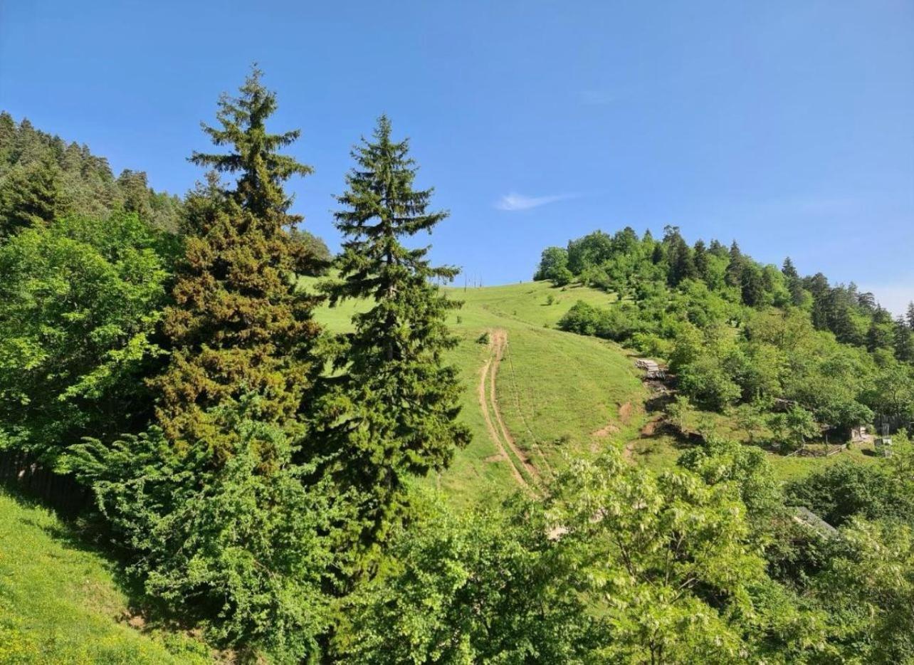 Holiday Borjomi Qvibisi Buitenkant foto