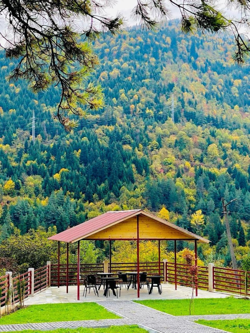 Holiday Borjomi Qvibisi Buitenkant foto