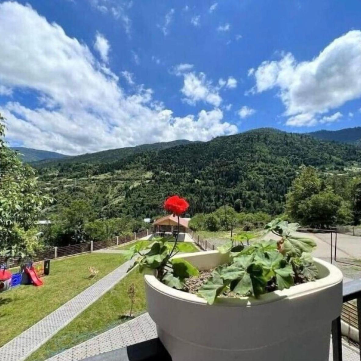 Holiday Borjomi Qvibisi Buitenkant foto