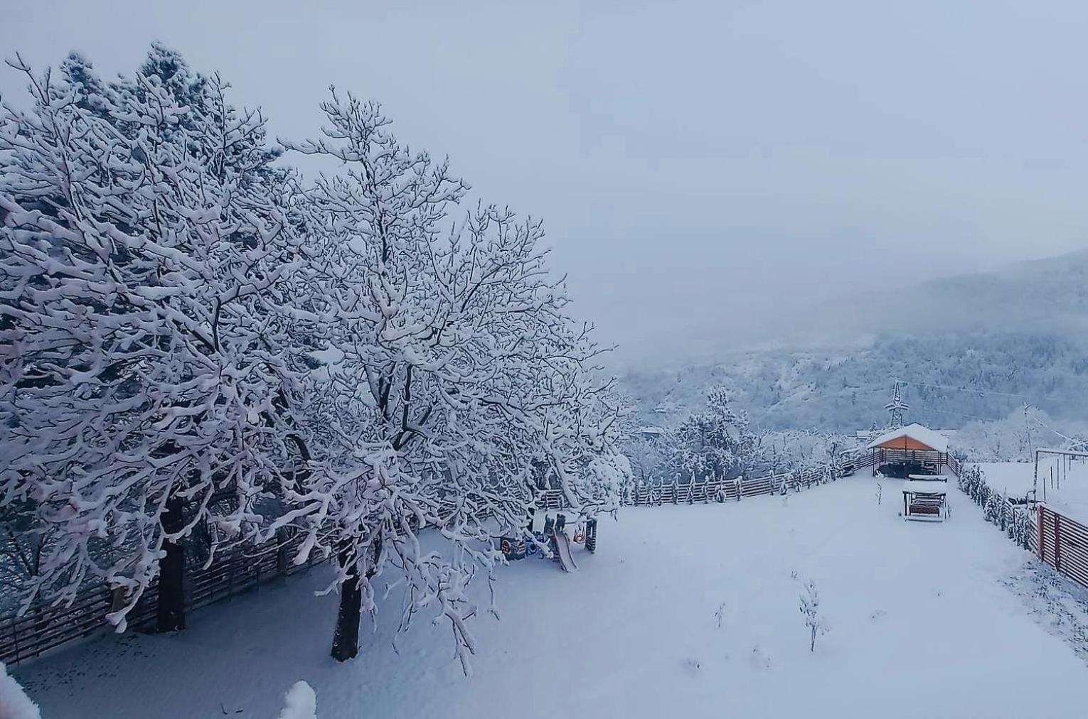 Holiday Borjomi Qvibisi Buitenkant foto
