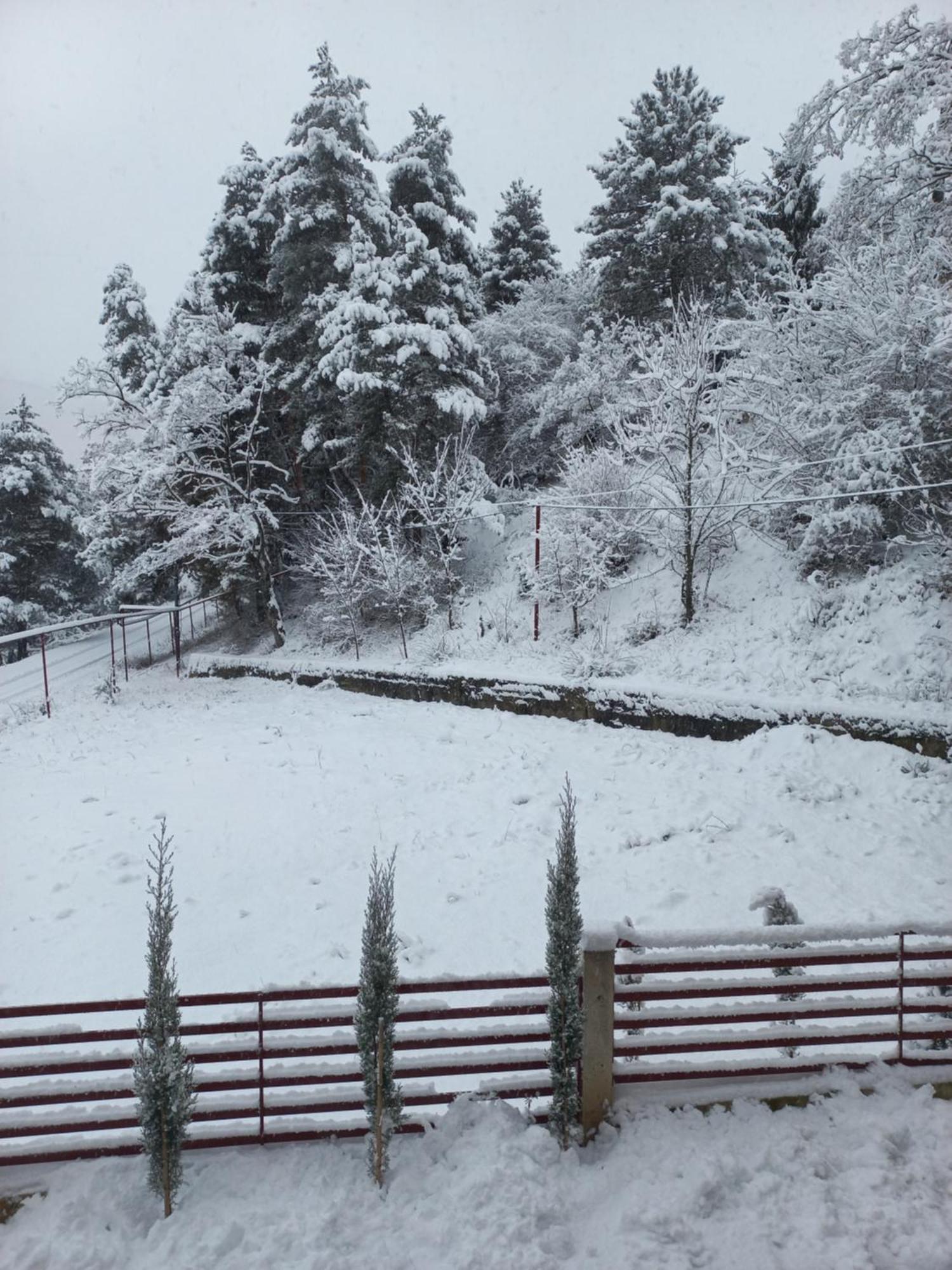 Holiday Borjomi Qvibisi Buitenkant foto