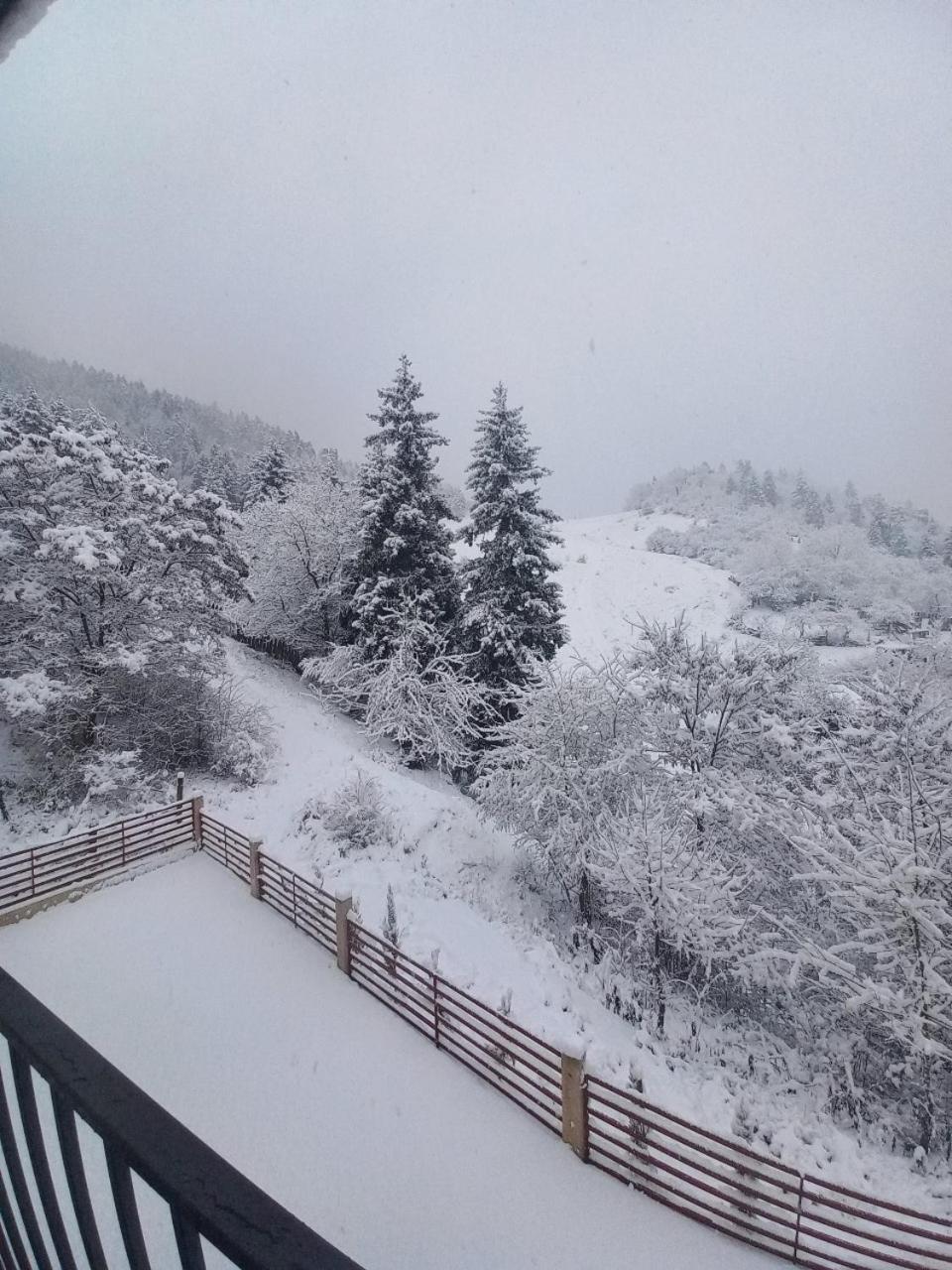 Holiday Borjomi Qvibisi Buitenkant foto