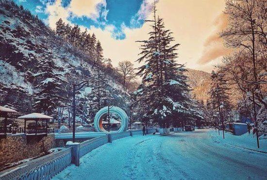 Holiday Borjomi Qvibisi Buitenkant foto
